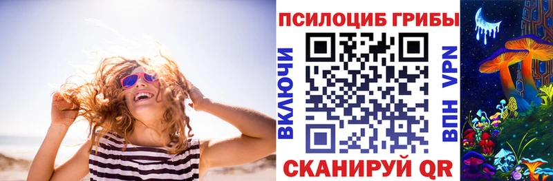 где можно купить наркотик  Арамиль  Псилоцибиновые грибы MAGIC MUSHROOMS 